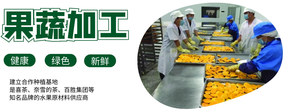 果蔬加工