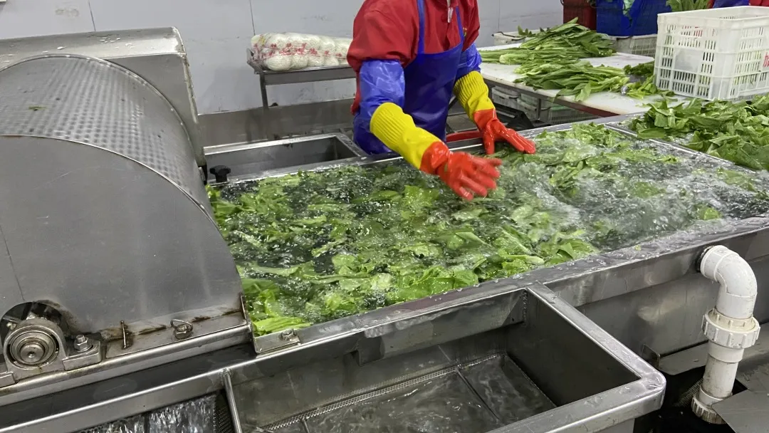 食材清洗加工