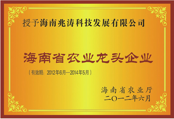 资质证书 1