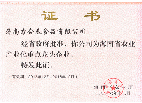资质证书 3